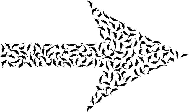 Curiosity Chronicles: What Does Sexual Curiosity Mean 5 4. Navigating Boundaries: Encouraging Healthy Discussions Around Sexual Curiosity