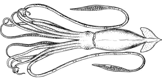 Interpreting Squid as a Metaphor for ⁤Sexual Energy​ and Desires
