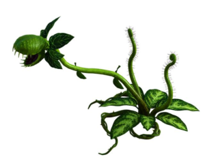 What Does Snap Mean Sexually: Unveiling Interpretations | OfLikeMinds.com