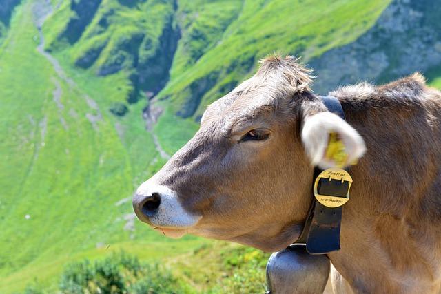 Cowbell Meaning Sexually: Symbolism Explored 5 4. Recognizing the Cultural Significance and Global Relevance of the Cowbell as a Sexual Symbol