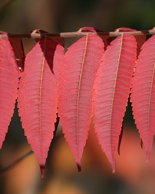 Shivers of Spice: Deciphering SH Meaning Sexually 6 6. Context Matters: Exploring the Diversity of SH Meanings and Significance across Different Relationship Dynamics