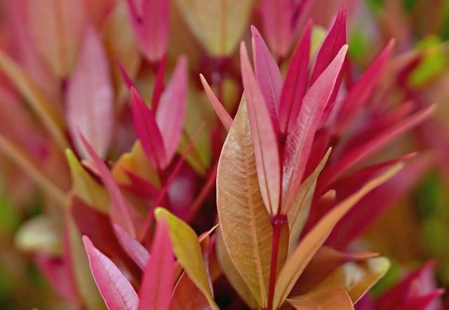 Inside the World of Amateur Swingers: Stories and Tips 5 Tips for Newcomers to the Swinger Scene